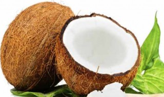 椰子怎么打开椰子的正确打开方法 椰子怎么打开功效有哪些