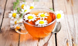 护肝茶的功效与作用能减肥 护肝茶的功效与作用