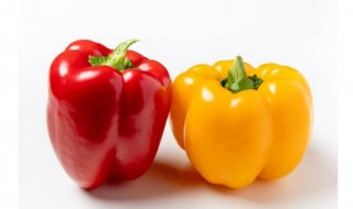 五彩椒的功效与作用 五彩椒的功效与作用与营养价值