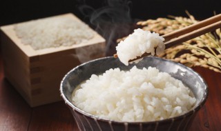 电饭煲米饭夹生该怎么补救 米饭煮硬了怎么补救