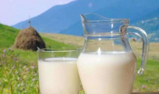 牛奶和羊奶可以混在一起喝吗 为什么医生不建议喝羊奶
