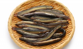 鲫鱼泥鳅汤的功效与作用 泥鳅汤的功效与作用