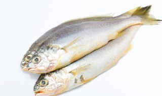 草鱼做腊鱼腌制方法是什么意思 草鱼做腊鱼腌制方法是什么