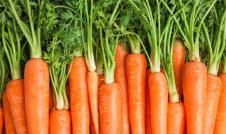 胡萝卜怎么吃营养又健康