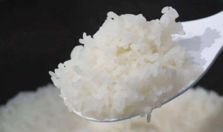 竹香米怎么煮米饭 竹香米怎么吃