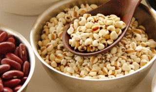 赤小豆薏米汤怎样做 赤小豆薏米汤的家常做法