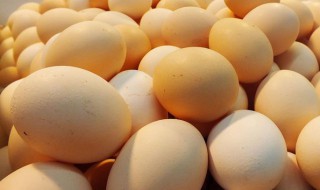 鸡蛋一次吃两个多吗 鸡蛋一次吃两个多吗减肥