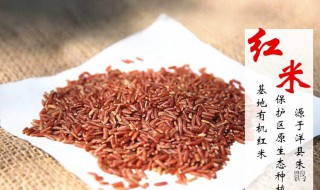 元阳红米的营养价值及功效 红米的营养价值及功效
