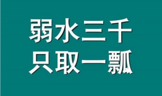 弱水三千只取一瓢是什么意思 溺水三千只取一瓢是什么意思啊