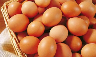 如何辨别人造鸡蛋（如何识别人造鸡蛋）