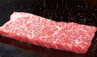 神户牛肉 神户牛肉与科比