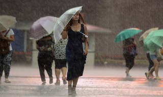 暴雨橙色预警防御措施 暴雨橙色预警的防护措施