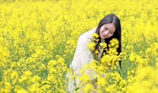 黄花闺女中的黄花指的是什么生肖 黄花闺女中的黄花指的是什么