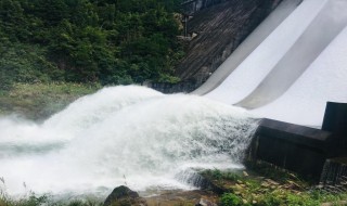 千岛湖泄洪泄到哪里去（2020年千岛湖泄洪）