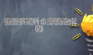 脂肪肝是什么原因造成的 女性脂肪肝是什么原因造成的