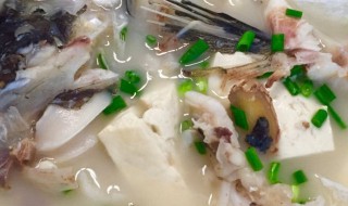 生鱼汤的做法和功效 秋天生鱼汤的做法和功效