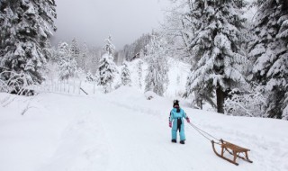 冬天下雪的句子短句唯美 雪的句子短句唯美