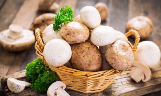 海鲜蘑菇怎么做好吃 海鲜蘑菇怎么做好吃又简单