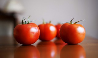 西红柿牛腩怎么做好吃又嫩视频 西红柿牛腩怎么做好吃