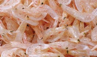 虾米皮怎么做好吃 虾米皮怎么做好吃又简单