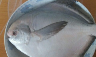 框镜鱼怎么做好吃东北做法 框镜鱼怎么做好吃