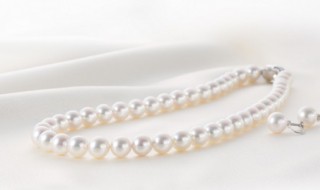 淡水赛澳白珍珠是什么意思 澳白珍珠是什么意思