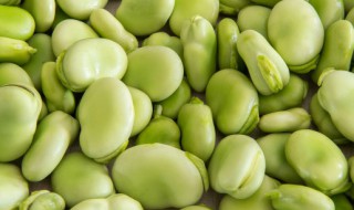 绿色的豆子是什么豆 长的绿色的豆子是什么豆