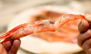 牡丹虾的籽能吃吗 牡丹虾的籽能吃吗怎么吃