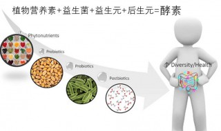 酵素是什么 酵素是什么味道