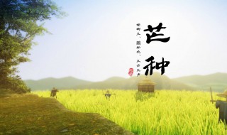 芒种代表仲夏的（芒种是夏天的俗语吗）