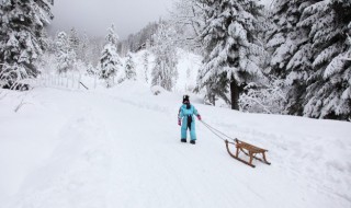 雪崩常常发生在什么地方 雪崩常常发生在什么地区