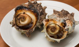 海螺可以蒸着吃吗 海螺可以蒸着吃吗还是煮着