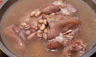花生红枣猪蹄汤的家常做法视频 花生红枣猪蹄汤的家常做法
