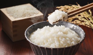 空气炸锅可以做米饭吗 空气炸锅可以做米饭吗?