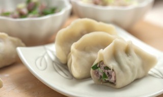 饺子的英语怎么读 饺子的英语怎么读dumpling