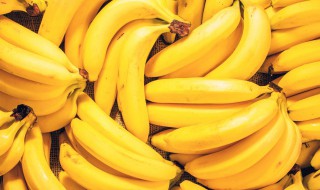金桔子和香蕉能放在一起炖吗 金桔可以和香蕉一起吃吗