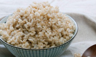 糙米要怎么食用 糙米怎么食用比较好