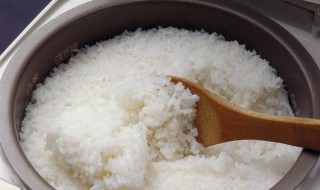煮米饭用热水还是凉水 煮米饭用热水还是凉水好吃