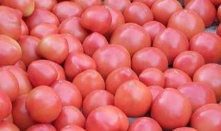 西红柿和什么不能一起吃 西红柿和什么不能一起吃 禁忌