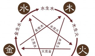 既属木又属火的字大全（五行既属木又属火的字）