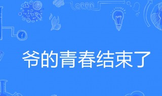 爷青结什么意思（爷青结什么意思图片）