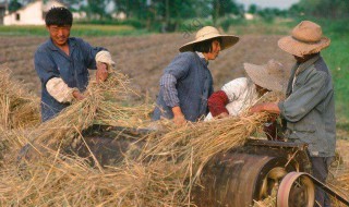 电视剧老农民剧情 电视剧老农民剧情介绍牛大胆