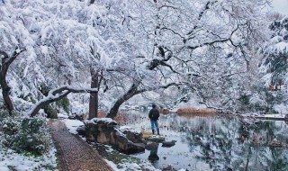 如何拍雪景（手机拍雪景怎么拍好看）