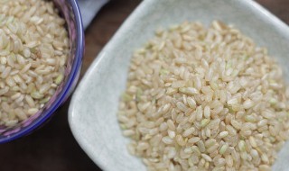 糙米放多少水 七色糙米放多少水