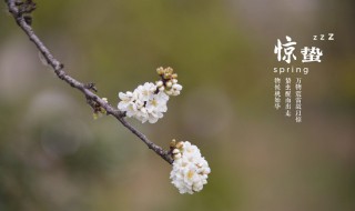 惊蛰节气要注意什么 惊蛰节气注意什么器官的问题