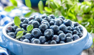 蓝莓是凉性水果吗 蓝莓是凉性水果吗
