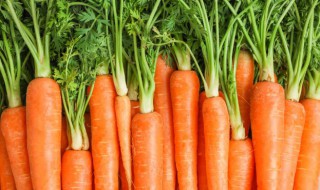 空心的胡萝卜可以吃吗 空心的胡萝卜可以吃吗?