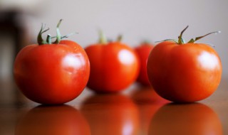 经常吃西红柿有什么好处和坏处红柿 经常吃西红柿有什么好处和坏处