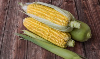 玉米是否属于发物 玉米是发物的水果吗