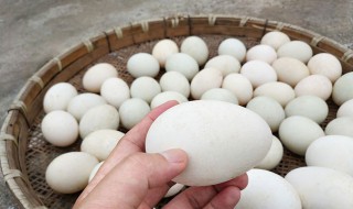 孕妇吃鹅蛋怎么吃 孕妇吃鹅蛋怎么吃效果最好